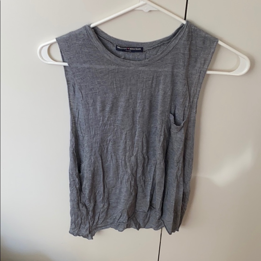 Brandy Melville Crop Top